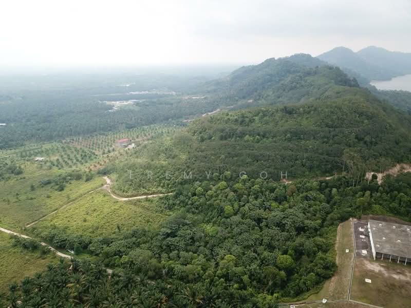 Tanah Pertanian untuk Dijual di Pontian (Johor) - Jeremy Goh - Exterior - PropertyGuru.com.my
