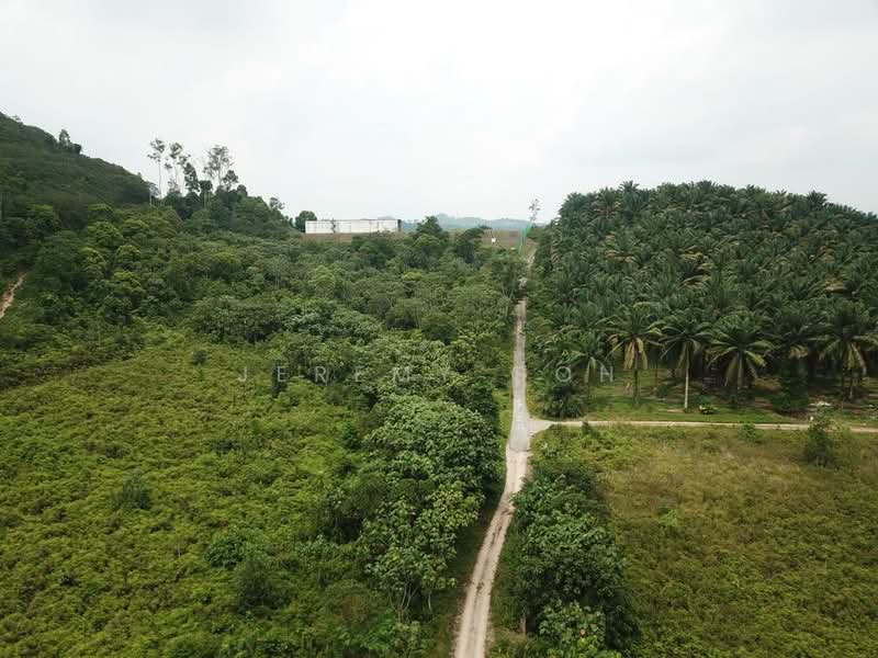 Tanah Pertanian untuk Dijual di Pontian (Johor) - Jeremy Goh - Exterior - PropertyGuru.com.my