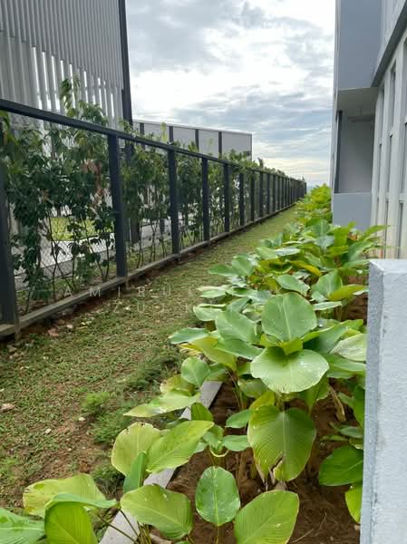 Kondominium untuk Disewa di Lakefront Homes - Amirul Fikry Zulkifly - Exterior - PropertyGuru.com.my