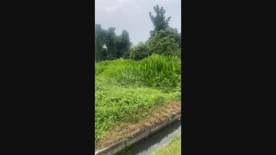 Tanah Pertanian untuk Dijual di Muar (Johor) - Ding Jodie - PropertyGuru.com.my