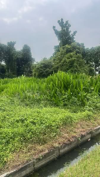 Tanah Pertanian untuk Dijual di Muar (Johor) - Ding Jodie - Exterior - PropertyGuru.com.my