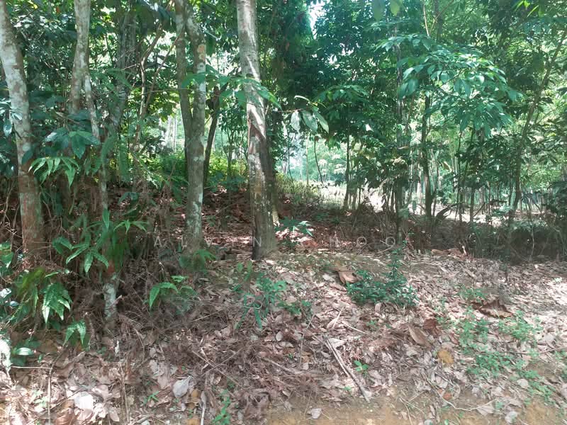 Tanah Pertanian untuk Disewa di Semenyih (Selangor) - Alvin Choo - Exterior - PropertyGuru.com.my