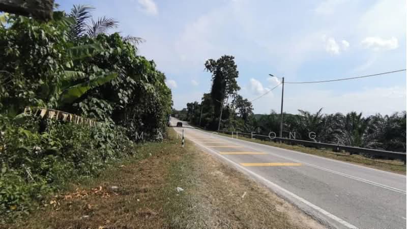 Agricultural Land for Sale in Kampung Sijangkang (Telok Panglima Garang) - Topman Cheong - PropertyGuru.com.my