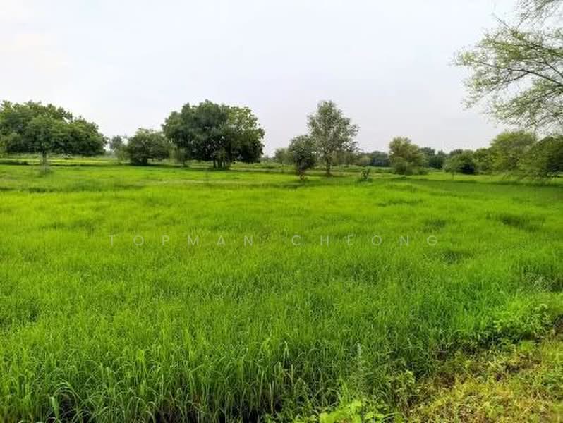 Agricultural Land for Sale in Kampung Sijangkang (Telok Panglima Garang) - Topman Cheong - PropertyGuru.com.my