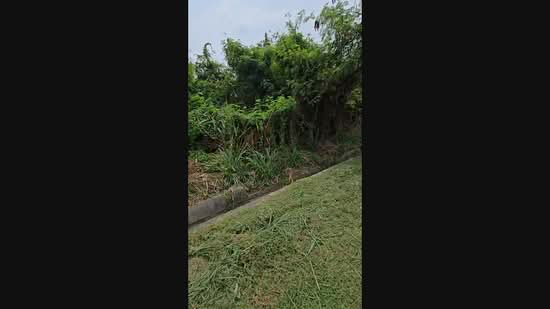 Tanah Kediaman untuk Dijual di Taman Puchong Prima (Puchong) - Kimmy Chua - PropertyGuru.com.my