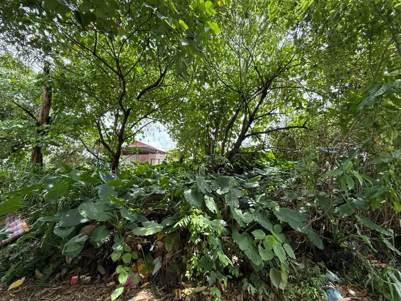 Tanah Kediaman untuk Dijual di Petaling Jaya (Selangor) - Zhi Hong Loh - Exterior - PropertyGuru.com.my