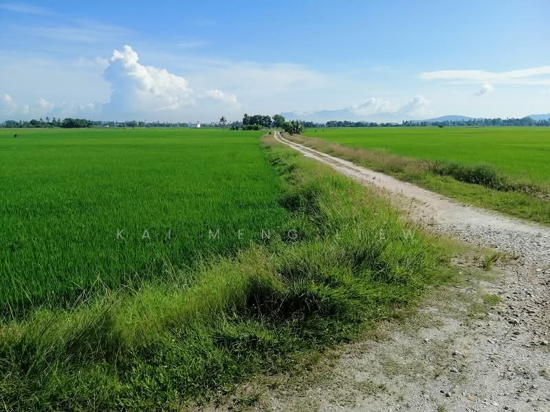 Agricultural Land for Sale in Penaga (Penang) - Kai Meng Liew - Exterior - PropertyGuru.com.my