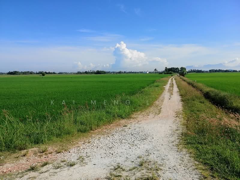 Agricultural Land for Sale in Penaga (Penang) - Kai Meng Liew - Exterior - PropertyGuru.com.my