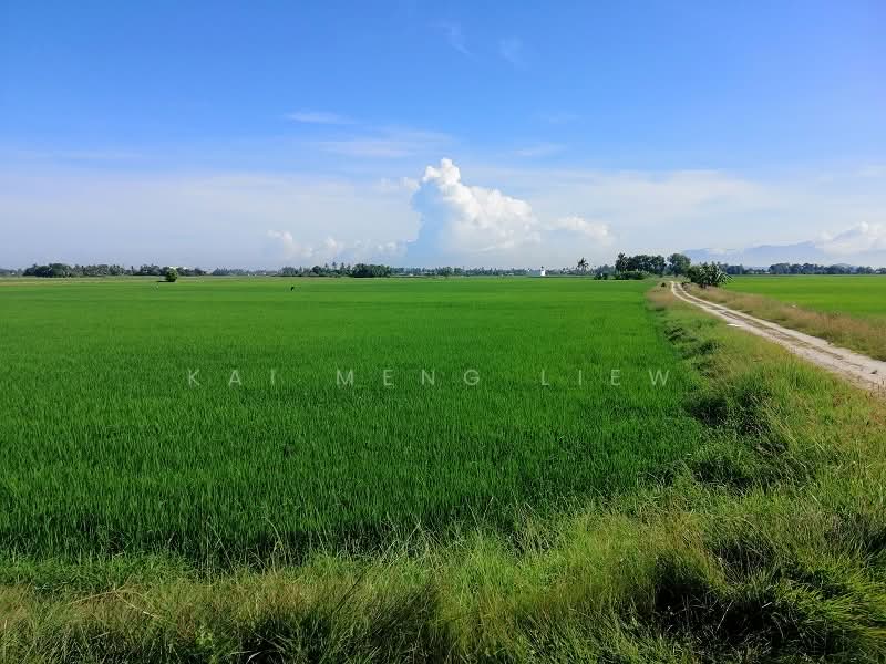 Agricultural Land for Sale in Penaga (Penang) - Kai Meng Liew - Exterior - PropertyGuru.com.my
