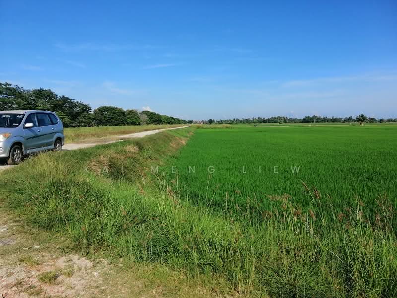Agricultural Land for Sale in Penaga (Penang) - Kai Meng Liew - Exterior - PropertyGuru.com.my