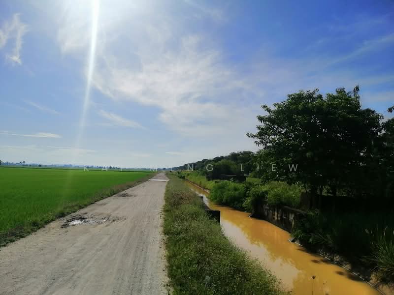 Agricultural Land for Sale in Penaga (Penang) - Kai Meng Liew - Exterior - PropertyGuru.com.my