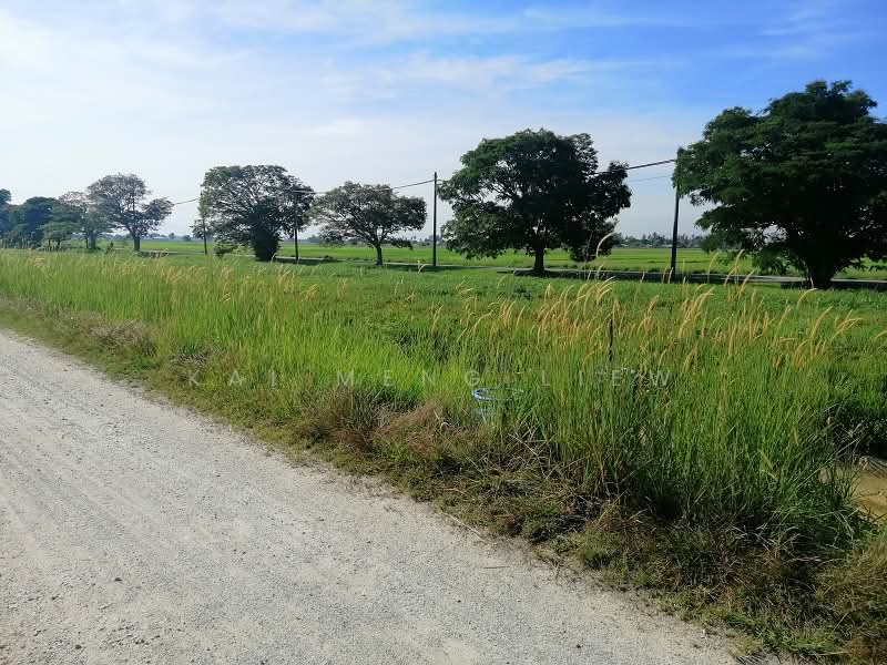 Agricultural Land for Sale in Penaga (Penang) - Kai Meng Liew - Exterior - PropertyGuru.com.my