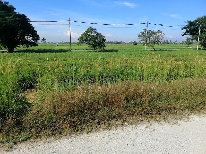 Agricultural Land for Sale in Penaga (Penang) - Kai Meng Liew - Exterior - PropertyGuru.com.my