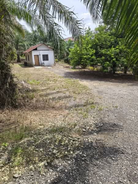 Agricultural Land for Sale in Kampung Bukit Cherakah (Shah Alam) - Liza Khalid - PropertyGuru.com.my