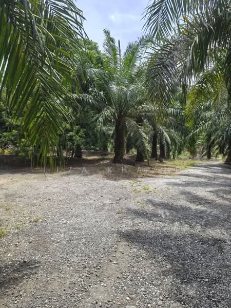 Agricultural Land for Sale in Kampung Bukit Cherakah (Shah Alam) - Liza Khalid - PropertyGuru.com.my