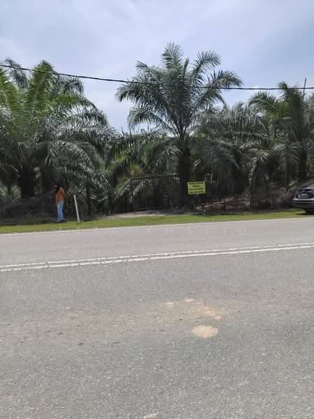 Agricultural Land for Sale in Kampung Bukit Cherakah (Shah Alam) - Liza Khalid - PropertyGuru.com.my