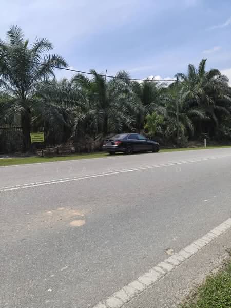 Agricultural Land for Sale in Kampung Bukit Cherakah (Shah Alam) - Liza Khalid - PropertyGuru.com.my