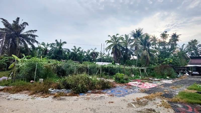 Industrial Land for Sale in Bukit Minyak (Penang) - Swee Khim Ooi - Exterior - PropertyGuru.com.my
