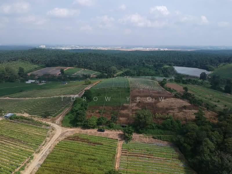 Tanah Pertanian untuk Dijual di Kampung Seelong Jaya (Senai) - Torow Yeow - PropertyGuru.com.my