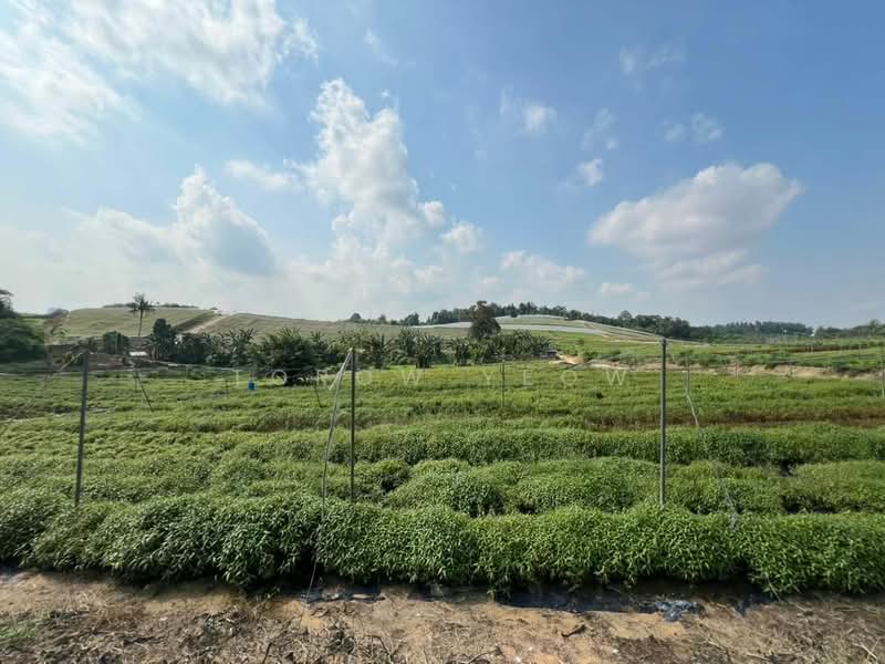 Tanah Pertanian untuk Dijual di Kampung Seelong Jaya (Senai) - Torow Yeow - PropertyGuru.com.my