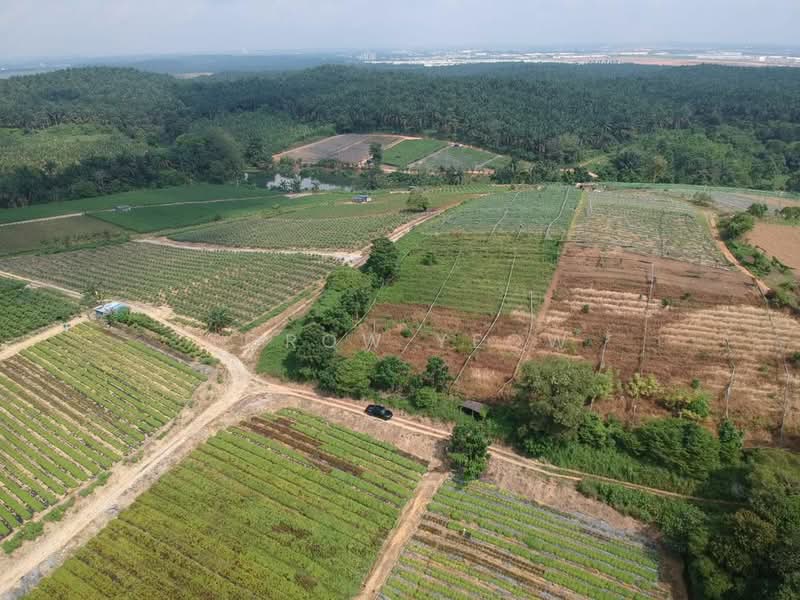 Tanah Pertanian untuk Dijual di Kampung Seelong Jaya (Senai) - Torow Yeow - PropertyGuru.com.my