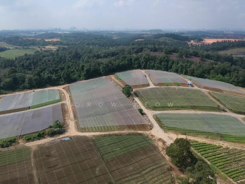 Tanah Pertanian untuk Dijual di Kampung Seelong Jaya (Senai) - Torow Yeow - PropertyGuru.com.my