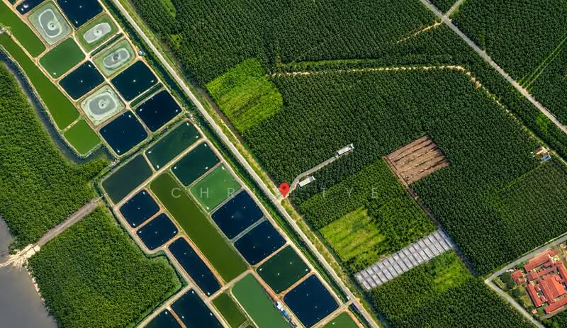Agricultural Land for Sale in Bagan Tengkorak (Tanjong Karang) - Chris Tye - Exterior - PropertyGuru.com.my