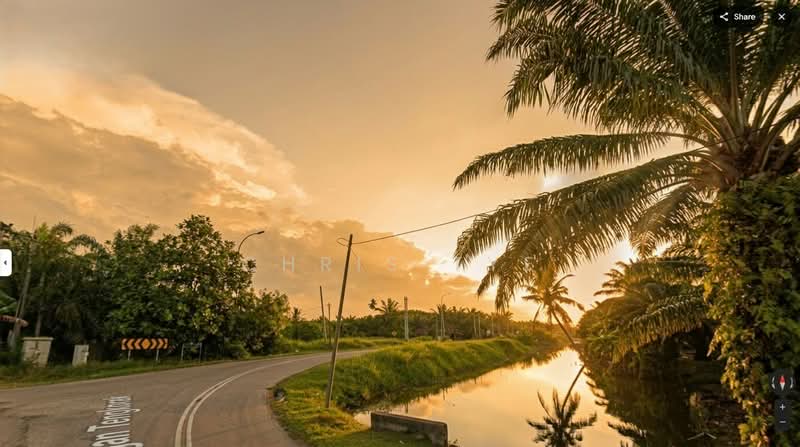 Agricultural Land for Sale in Bagan Tengkorak (Tanjong Karang) - Chris Tye - Exterior - PropertyGuru.com.my