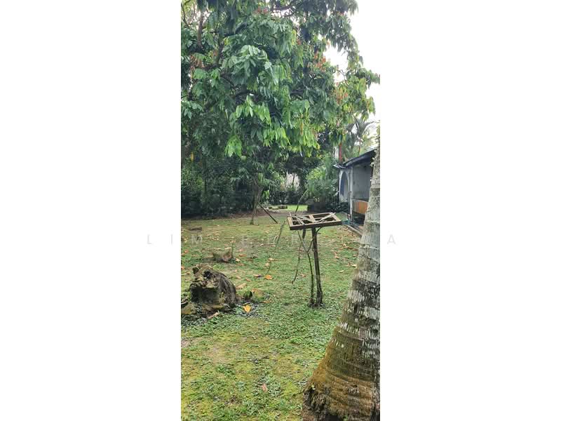Bungalow House untuk Dijual di Bukit Gasing (Petaling Jaya) - Lim Pereira - Garden - PropertyGuru.com.my