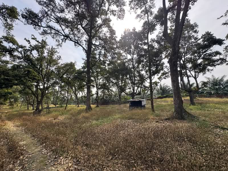 Agricultural Land for Sale in Kluang (Johor) - Victor Lim - Exterior - PropertyGuru.com.my