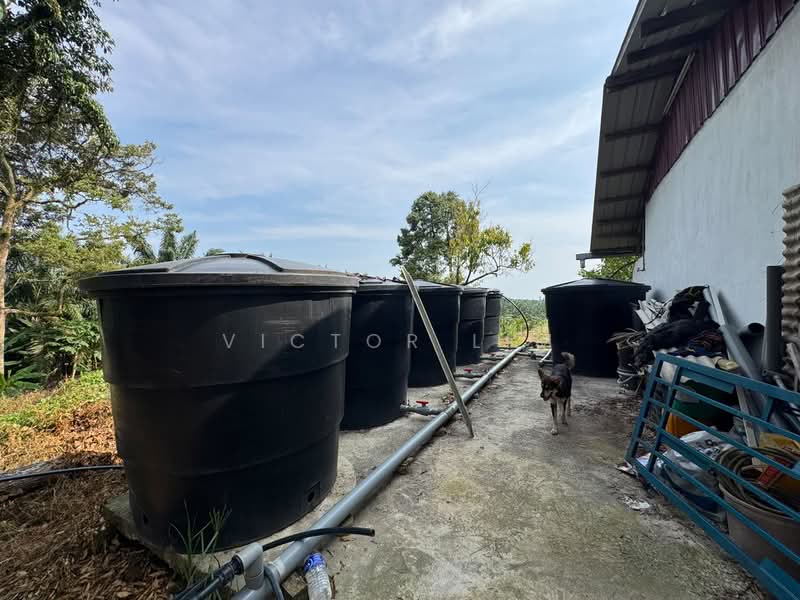Agricultural Land for Sale in Kluang (Johor) - Victor Lim - PropertyGuru.com.my