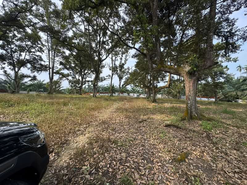 Agricultural Land for Sale in Kluang (Johor) - Victor Lim - PropertyGuru.com.my