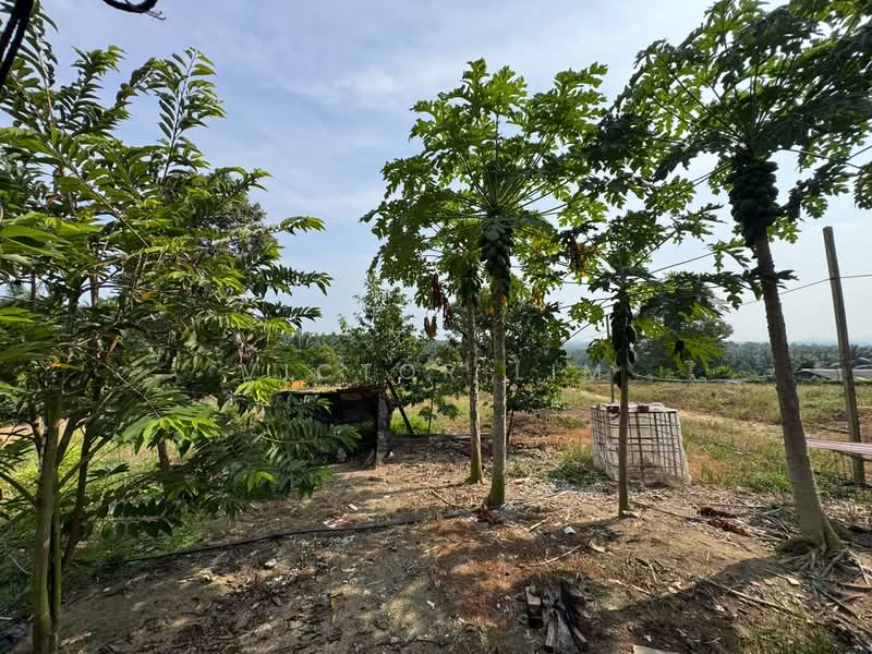 Agricultural Land for Sale in Kluang (Johor) - Victor Lim - PropertyGuru.com.my
