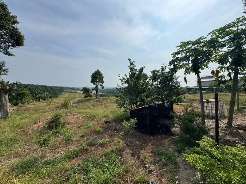 Agricultural Land for Sale in Kluang (Johor) - Victor Lim - PropertyGuru.com.my