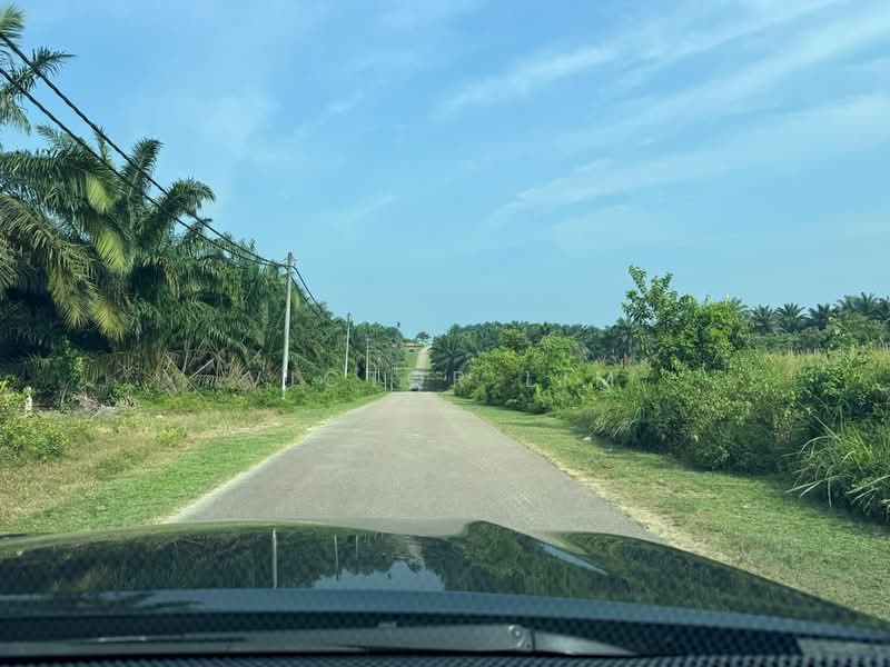 Agricultural Land for Sale in Kluang (Johor) - Victor Lim - PropertyGuru.com.my