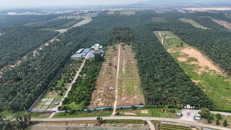 Agricultural Land for Sale in Kluang (Johor) - Victor Lim - PropertyGuru.com.my