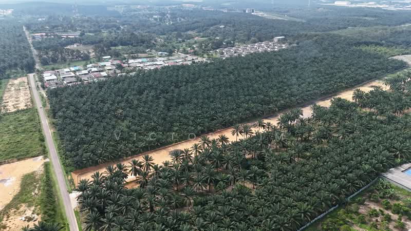 Agricultural Land for Sale in Kluang (Johor) - Victor Lim - PropertyGuru.com.my