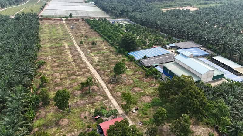 Agricultural Land for Sale in Kluang (Johor) - Victor Lim - PropertyGuru.com.my