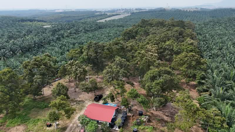 Agricultural Land for Sale in Kluang (Johor) - Victor Lim - PropertyGuru.com.my