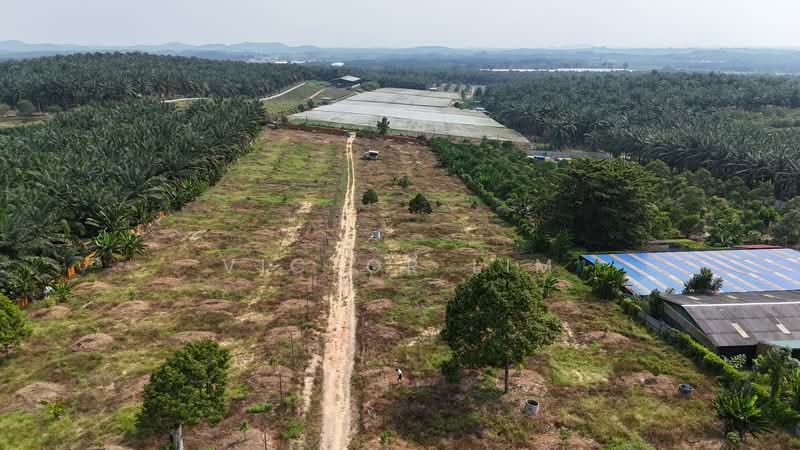 Agricultural Land for Sale in Kluang (Johor) - Victor Lim - PropertyGuru.com.my
