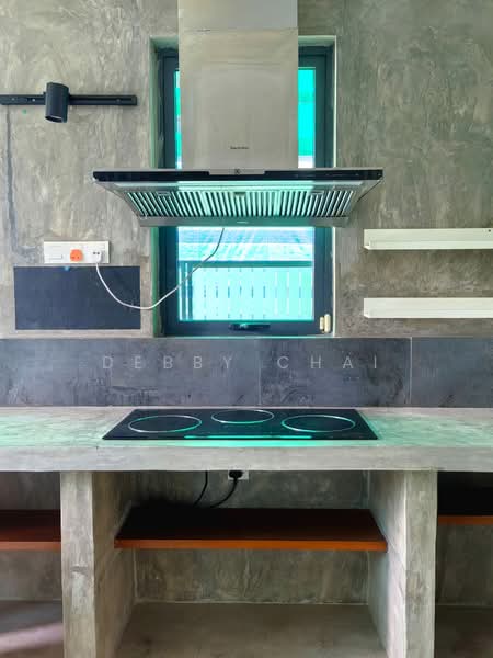 Semi-Detached House for Sale in D'Island (Puchong) - Debby Chai - Kitchen - PropertyGuru.com.my