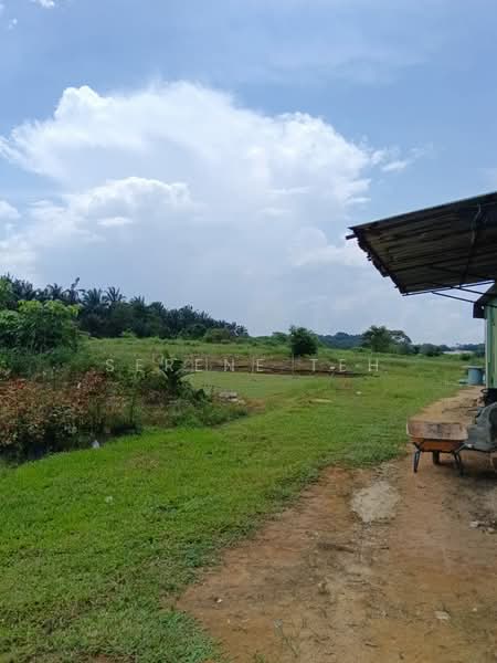 Tanah Pertanian untuk Disewa di Ulu Tiram (Johor) - Serene Teh - Exterior - PropertyGuru.com.my