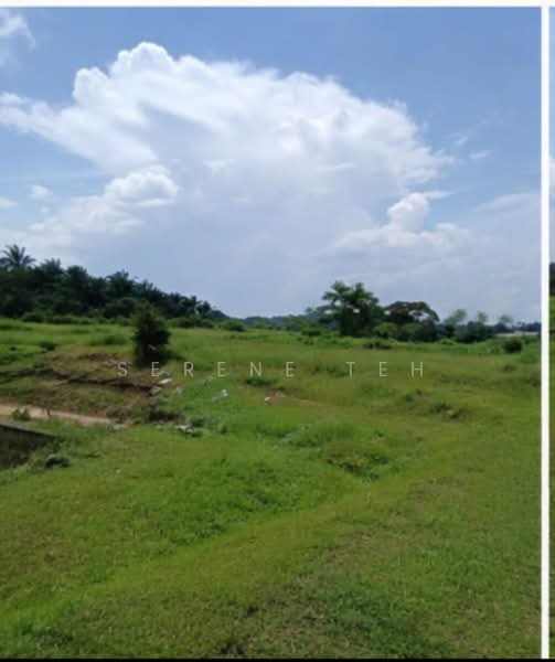 Tanah Pertanian untuk Disewa di Ulu Tiram (Johor) - Serene Teh - Exterior - PropertyGuru.com.my