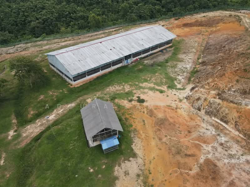 Tanah Pertanian untuk Dijual di Kampung Jenderam Hulu (Dengkil) - Adzura Zamedin - PropertyGuru.com.my