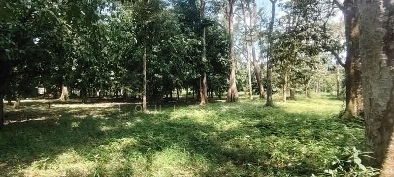 Tanah Pertanian untuk Dijual di Taman Mawai (Kota Tinggi) - Louis Yeo - Garden - PropertyGuru.com.my