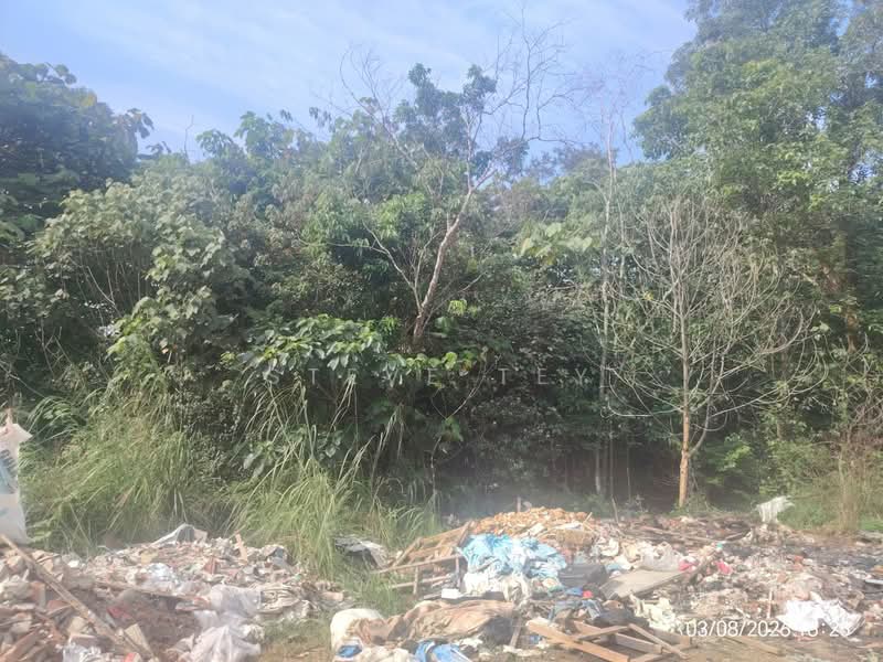 Agricultural Land for Sale in Senai (Johor) - Steve Tey - Exterior - PropertyGuru.com.my