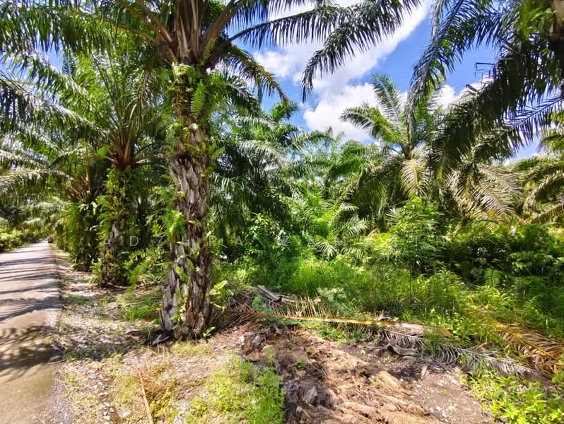 Tanah Pertanian untuk Dijual di Sabak Bernam (Selangor) - Adzura Zamedin - Exterior - PropertyGuru.com.my