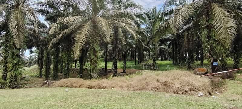 Agricultural Land for Sale in Taman Sri Gading (Batu Pahat) - Jason Chua - Exterior - PropertyGuru.com.my