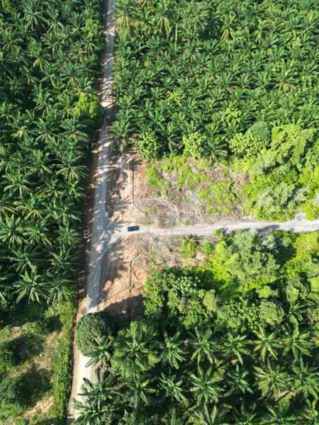Residential Land for Sale in Cyberjaya (Selangor) - Abu Mansur - PropertyGuru.com.my