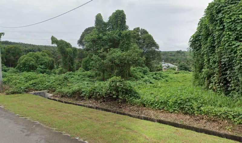 Tanah Pertanian untuk Dijual di Kota Tinggi (Johor) - Steve Tey - Exterior - PropertyGuru.com.my